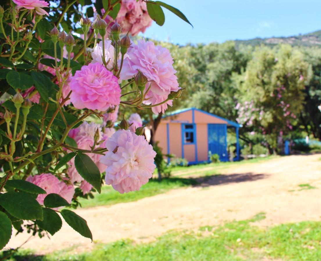 Itylon Vakantiehuis Cargèse